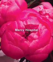Ida Applebroog: Mercy Hospital