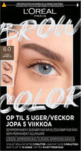L'Oréal Paris Brow Color Semi-Permanent Eyebrow Color 6.0 Light B