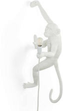 Aplampa Utomhus vit Monkey Lamp Outdoor, Seletti