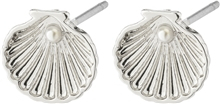 26241-6013 OPAL Seashell Earrings 1 set