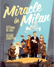 Miracle in Milan - The Criterion Collection (US Import)