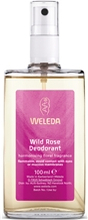 Wild Rose Deodorant 100 ml
