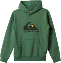 Big Logo Hoodie Youth Tops Sweatshirts & Hoodies Hoodies Green Quiksilver