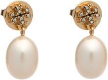 Small Kira Pearl Drop Earring Designers Jewellery Earrings Pendants Earrings Gold Tory Burch