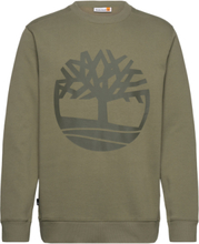Kennebec River Tree Logo Crew Neck Sweatshirt Cassel Earth/Grape Leaf Sweat-shirt Tröja Green Timberland