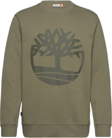 Kennebec River Tree Logo Crew Neck Sweatshirt Cassel Earth/Grape Leaf Designers Sweatshirts & Hoodies Sweatshirts Green Timberland
