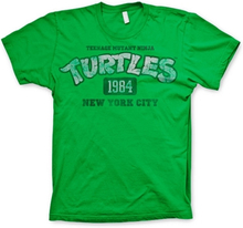 Turtles NY 1984 T-Shirt, T-Shirt