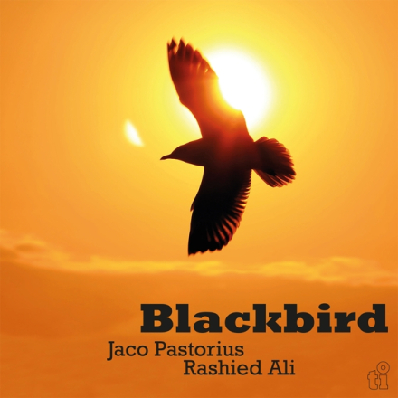Pastorius Jaco & Rashied: Blackbird (Ltd. Transl