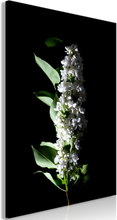 Lærredstryk White Lilacs (1 del)