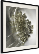 Plakat - Leaves of the Tree of Wisdom - 20 x 20 cm - Sort ramme med passepartout