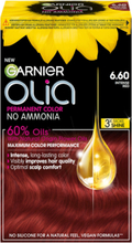 Garnier Olia 6.60 Intense Red Beauty Women Hair Care Color Treatments Nude Garnier