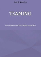 Teaming : hur vi lyckas med vårt dagliga samarbete