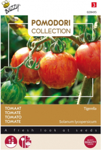 Tomaten Tigerella - Pomodori Collection