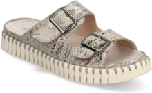 "Sandal Shoes Summer Shoes Flat Sandals Grey Ilse Jacobsen"