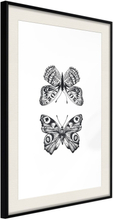 Plakat - Butterfly Collection I - 40 x 60 cm - Sort ramme med passepartout