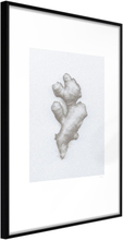 Plakat - Ginger Rhizome - 40 x 60 cm - Sort ramme