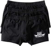 Boxer (3-pack)