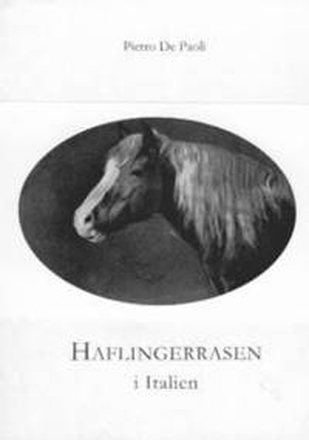 Haflingerrasen i Italien : ursprung - stambok från 1931