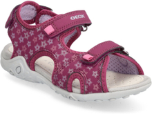 "J Sandal Whinberry G Shoes Summer Shoes Sandals Purple GEOX"