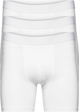 3-Pack Boxer Brief Extra Long Boxershorts White Bread & Boxers
