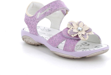 Pbr 58855 Shoes Summer Shoes Sandals Purple Primigi