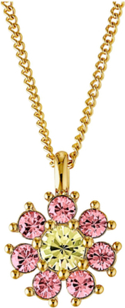 Delise Sg Yellow/Rose Accessories Jewellery Necklaces Dainty Necklaces Pink Dyrberg/Kern