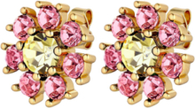 "Aude Sg Yellow/Rose Accessories Jewellery Earrings Studs Pink Dyrberg/Kern"