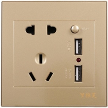 Electric Outlet with 2 Sockets and 2 USB Ports Wall Mount Socket (Gold)