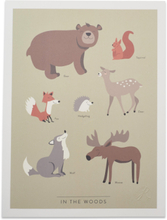 In The Woods - På Engelska Home Kids Decor Posters & Frames Posters Animal Posters Multi/mønstret Kunskapstavlan®*Betinget Tilbud