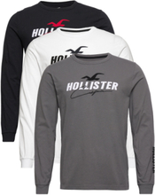Hco. Guys Graphics T-shirts Long-sleeved Svart Hollister*Betinget Tilbud
