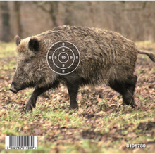 Gyttorp Gyttorp Target Airgun Boar Nocolour Övningsskytte OneSize