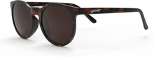 Goodr Sunglasses Nine Dollar Pour Over Brown Sportsbriller OneSize