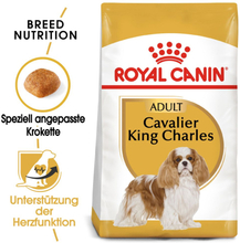 Royal Canin Cavalier King Charles Adult - Sparpaket: 2 x 7,5 kg
