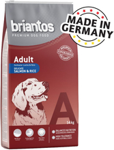 Briantos Adult Lachs & Reis - Sparpaket: 2 x 14 kg