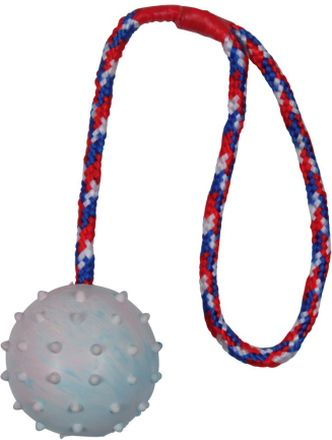 Trixie Hundespielzeug Gummiball mit Schnur - Ball ca. Ø 6 cm, Kordel 30 cm lang