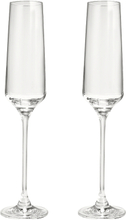 Table Top Stories - Celebration champagneglass 19 cl 2 stk