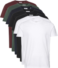 Basic O-Neck Tee S/S 7 Pack T-shirts Short-sleeved Multi/mønstret Lindbergh*Betinget Tilbud