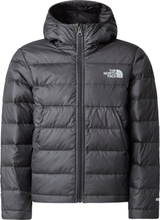 The North Face Boys' Never Stop Down Jacket TNF BLACK Dunfyllda mellanlagersjackor XS
