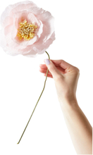 Paper Flower, Ice Poppy Home Decoration Paper Flowers Rosa Studio About*Betinget Tilbud