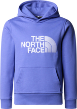 The North Face The North Face B Drew Peak P/O Hoodie Dopamine Blue Langermede trøyer S
