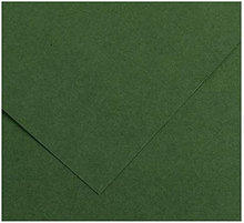 Papp Iris Amazon Grön 50 x 65 cm