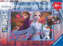 Wd Frost Ll 2X24P Toys Puzzles And Games Puzzles Classic Puzzles Multi/mønstret Ravensburger*Betinget Tilbud