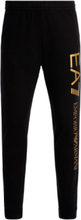 Armani EA7 Pants Tape Logo Gold