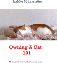 Owning A Cat 101