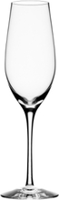 Merlot Champagne Glass 33Cl Home Tableware Glass Champagne Glass Nude Orrefors