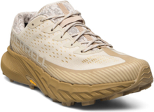 "Men's Agility Peak 5 Gtx - Oyster/Coyote Shoes Sport Shoes Running Shoes Beige Merrell"