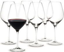Cabernet Rødvinsglas 52 Cl 6 Stk. Home Tableware Glass Wine Glass Nude Holmegaard