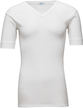Original V-Neck Tee Tops T-shirts Short-sleeved White JBS