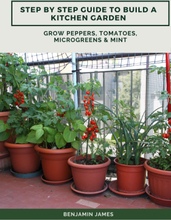 Step by Step Guide to Build a Kitchen Garden: Grow Peppers, Tomatoes, Microgreens & Mint