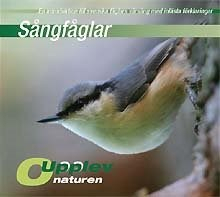 Sångfåglar : en introduktion till svenska fåglars vårsång med inlästa förklaringar